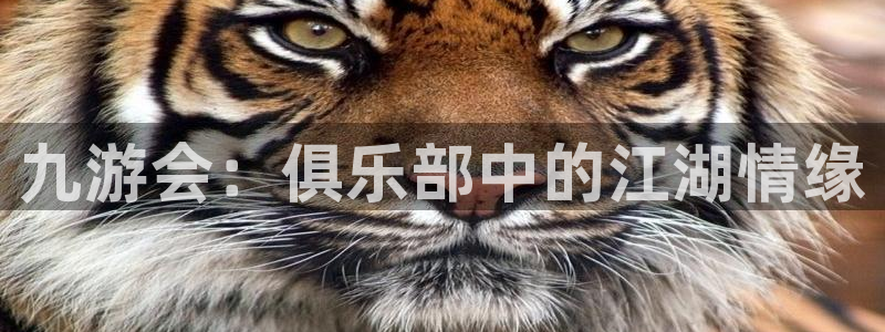 万事娱乐官网