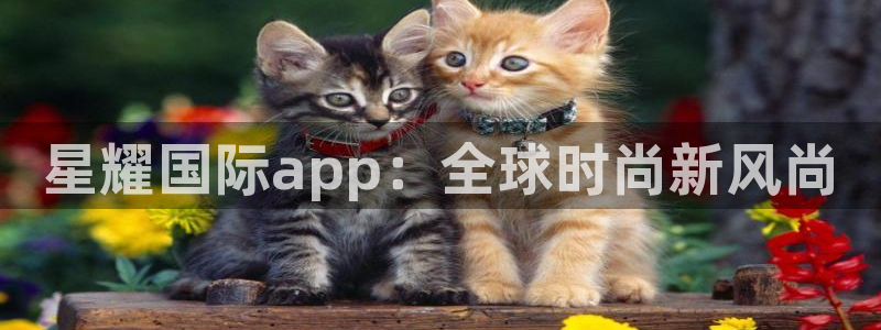 壹号app下载官方网站