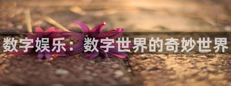 壹号下载官网入口