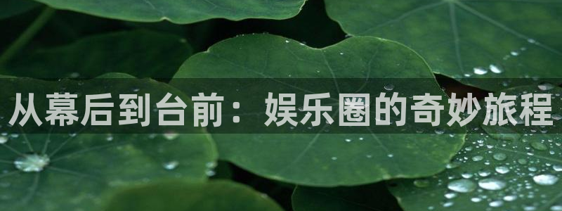 壹号大舞台娱乐app下载安装