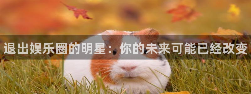 万事娱乐吧