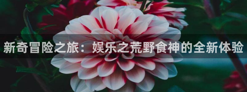 万事娱乐app网页入口
