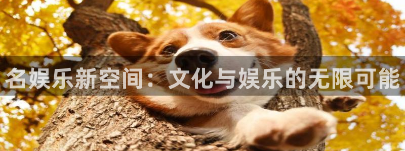 万事娱乐官网入口