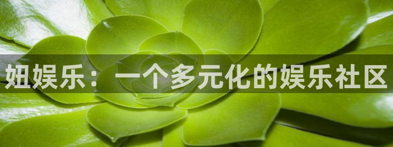 万事娱乐app下载安装