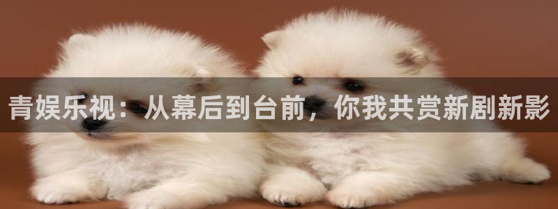 壹号app下载苹果
