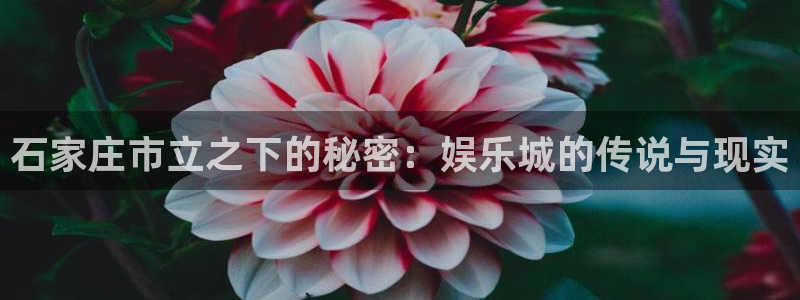 万事娱乐-ng大舞台,有梦你就来