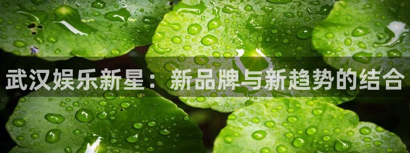 万事娱乐(com.youad.authst)