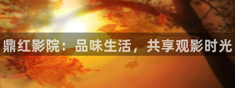 壹号电子娱乐app下载：鼎红影院：品味生活，共享观影时光